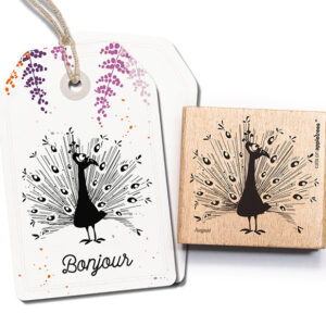 CATS ON APPLETREES - TIMBRO LEGNO AUGUST