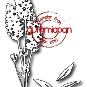 GUMMIAPAN - FUSTELLA LAVENDEL